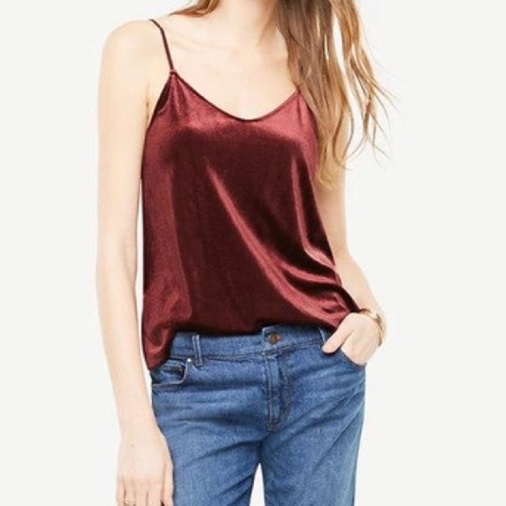 Ann Taylor Velvet Swing Cami